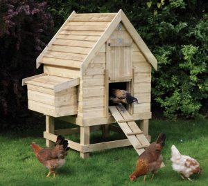 quel poulailler pour 2 poules