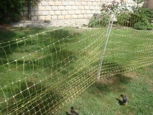 KKmaison Grillage a Poule, Clôture de Jardin, Grillage Cloture