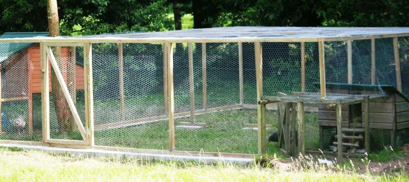 Poulailler bois 4 poules, avec roulettes et volière grillagée..